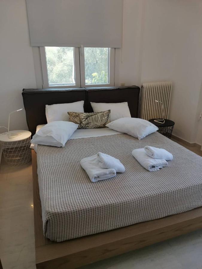 Sti Chora Apartments Lefkada City Luaran gambar